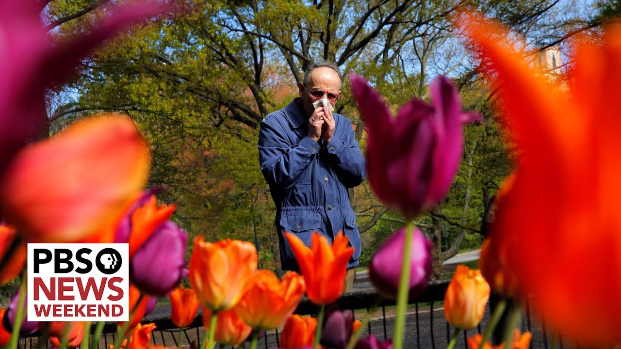 It’s not your imagination, allergy season is extra bad this year. Here’s why