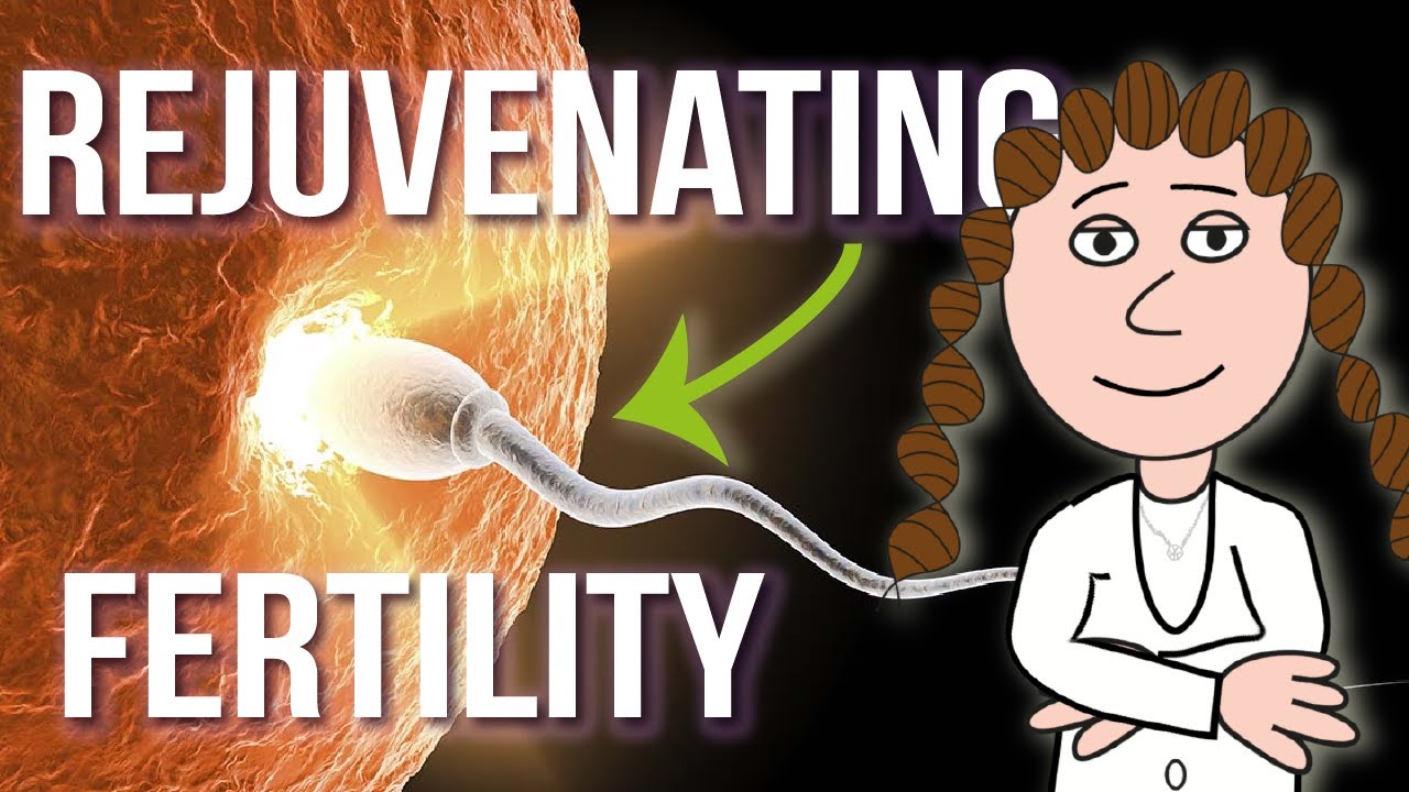 The future method to rejuvenate fertility?