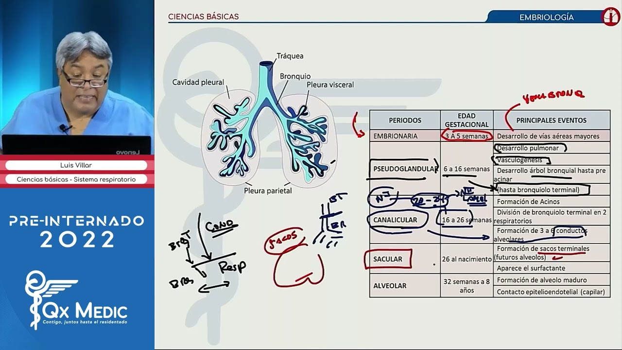 NEUMOLOGIA 1 QxMedic