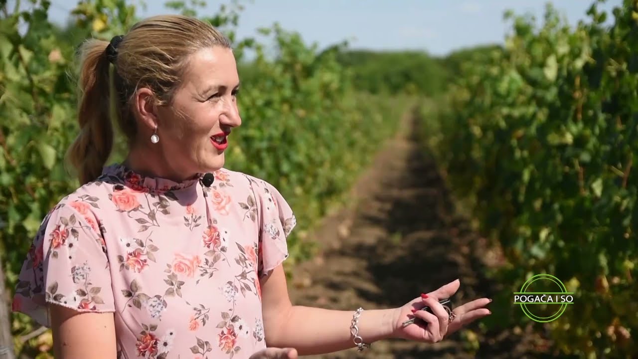 Do RIDJICE se dolazi samo jednim putem, imaju LEKOVITO BLATO i divno vino | POGAČA I SO Ep.73