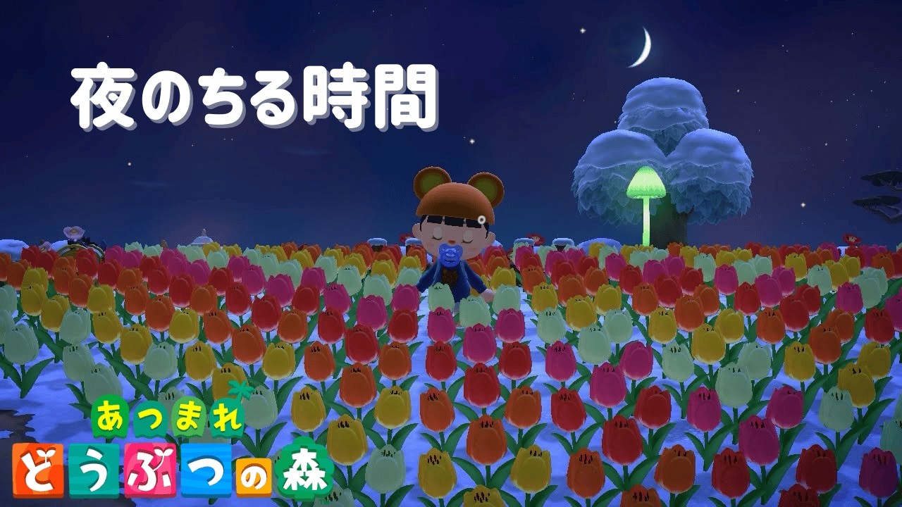 夜のあつ森ちる時間｜のんびり島づくり