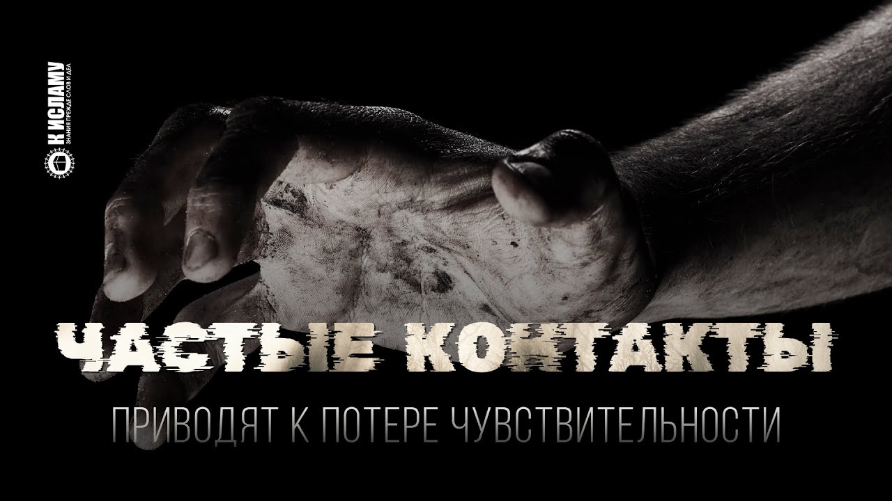 «От частых контактов теряется чувствительность». Арабская пословица. Ринат Абу Мухаммад