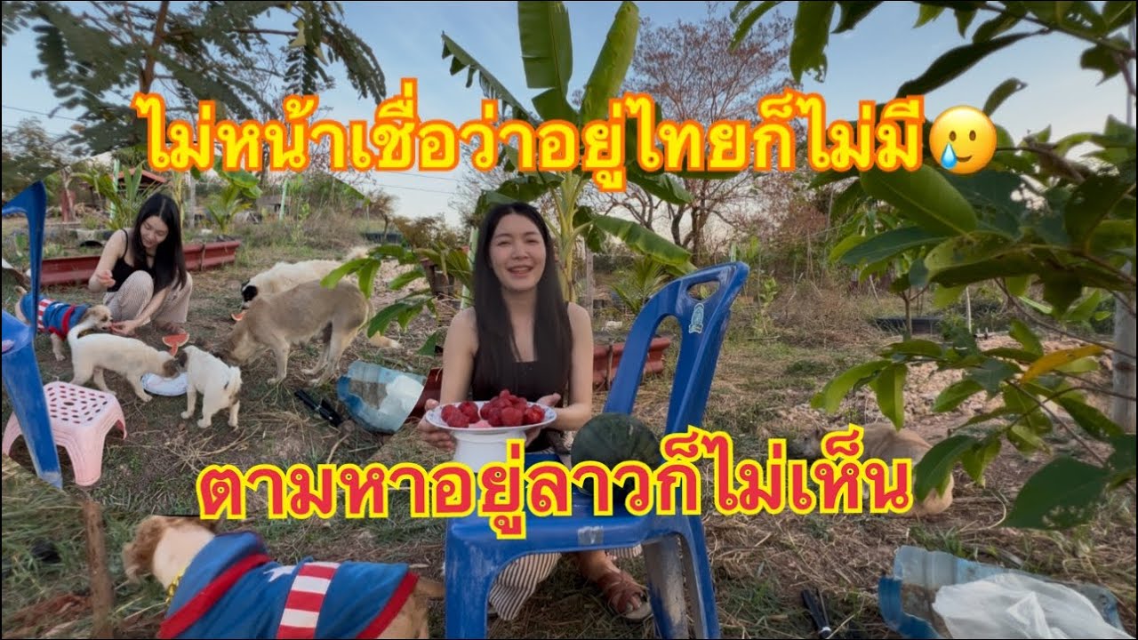 Fcให้ไปดูราคาตู้เย็น พร้อมกับไปตามหาสิ่งนี้ก็ไม่มี🥹fcໃຫ້ໄປເບິ່ງລາຄາຕູ້ເຢັນ ພ້ອມຕາມຫາສິ່ງນີ້ກໍບໍ່ມີ🥲