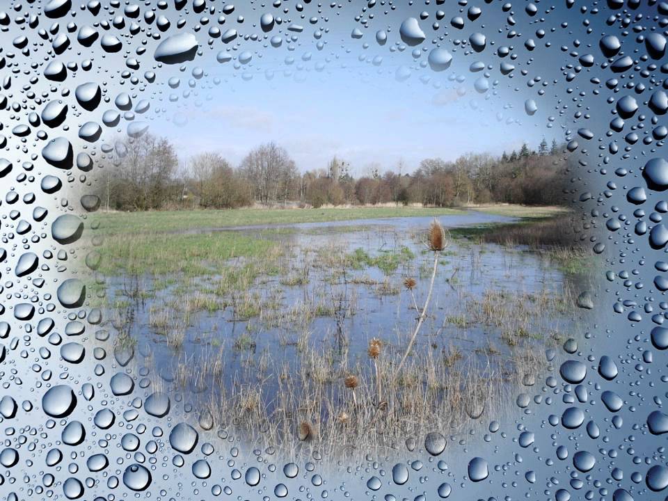 etangs de Damville