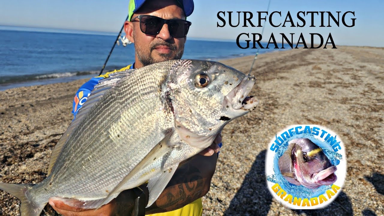 DIA ESTUPENDO PARA LA DORADA,BUENA JORNADA,SURFCASTING GRANADA