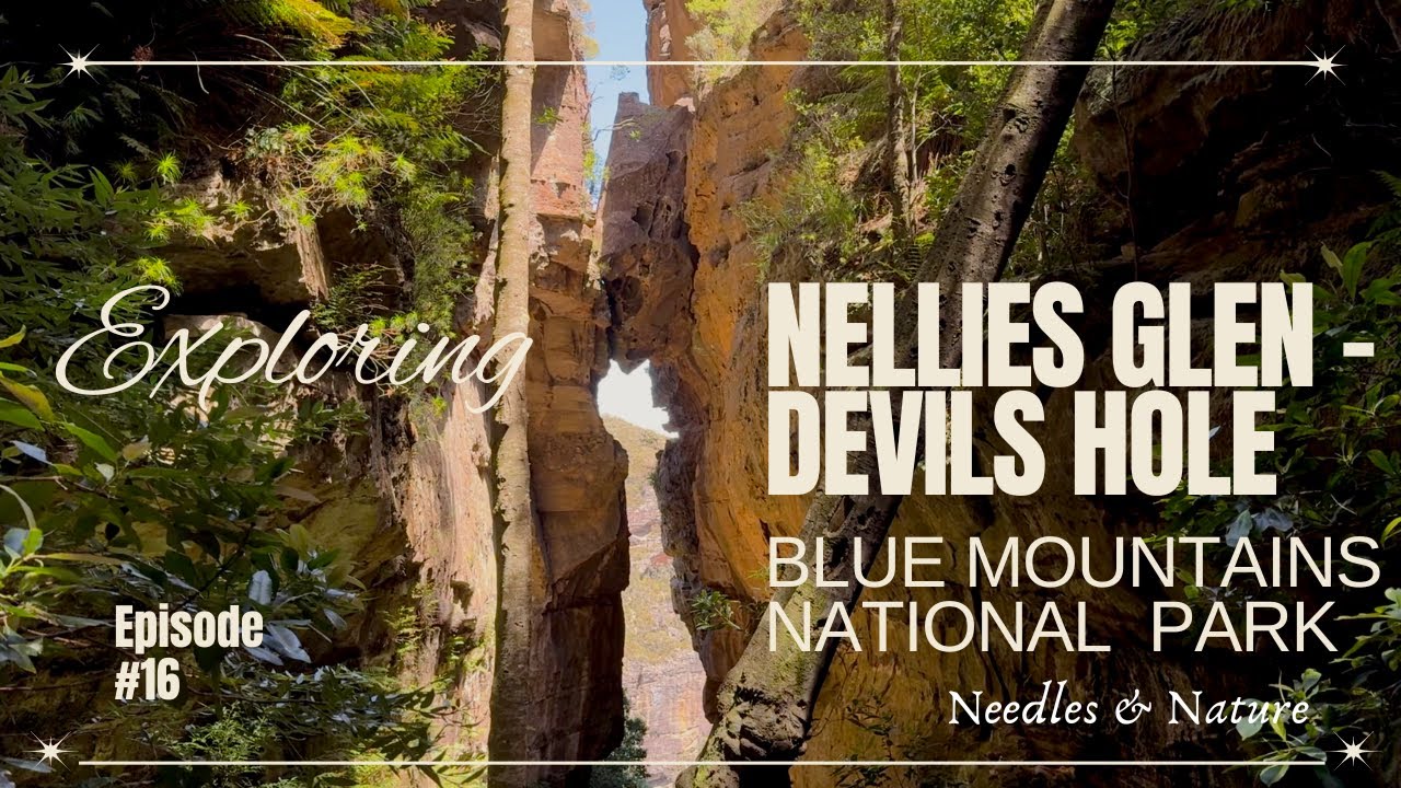 Exploring Katoomba’s Secret Trails: From Nellies Glen to The Devil’s Hole