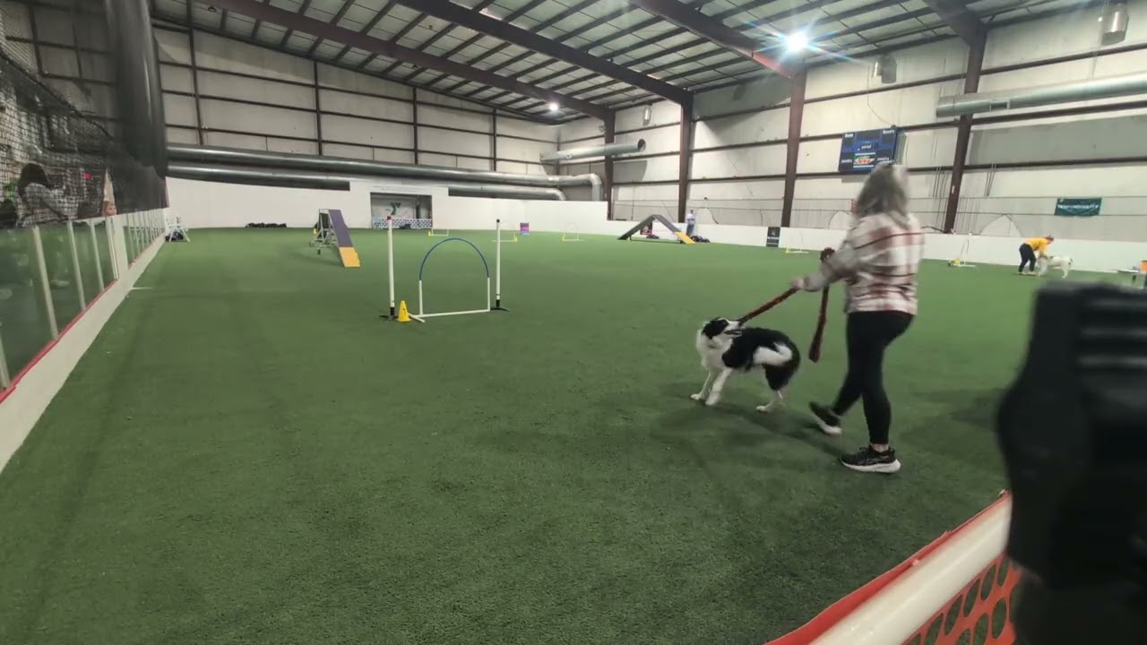 2026.02.22. Nugget Intro TNG RUFF Agility KY 