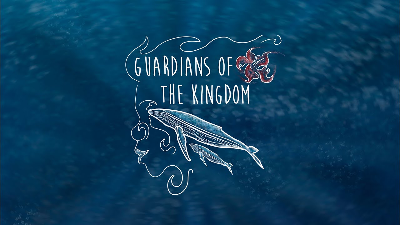 Guardians of the Kingdom VR