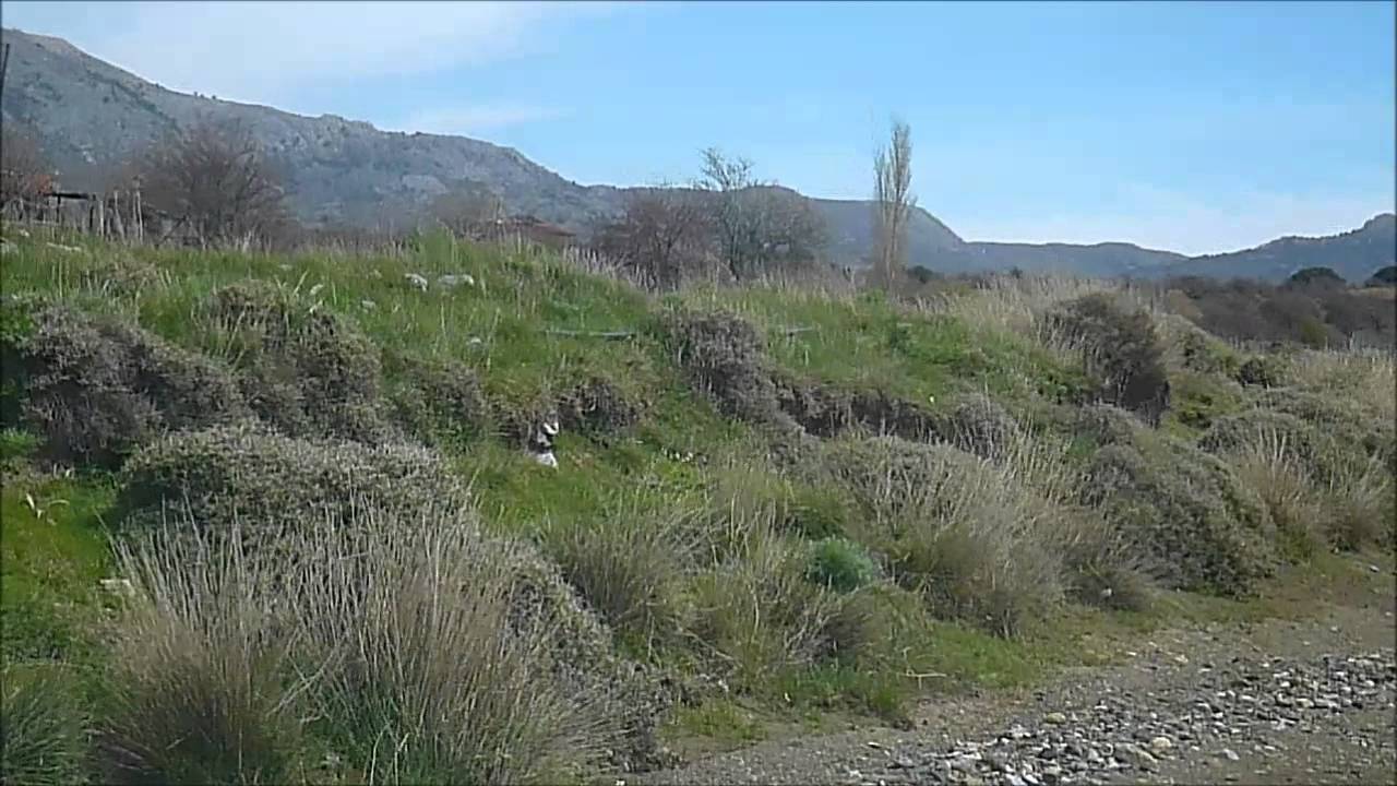 Εκδρομή 30/3/14 Φράγμα Αποσελέμη - Λασίθι - Καθαρό