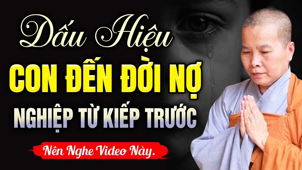 DẤU HIỆU CON ĐẾN ĐÒI NỢ Nghịch Duyên Từ KIẾP TRƯỚC | SC. Thích Nữ Như Lan