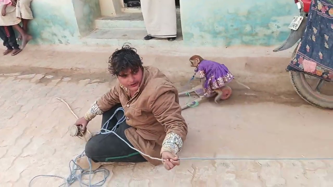 Aaj hamare gaon mein madari aaya