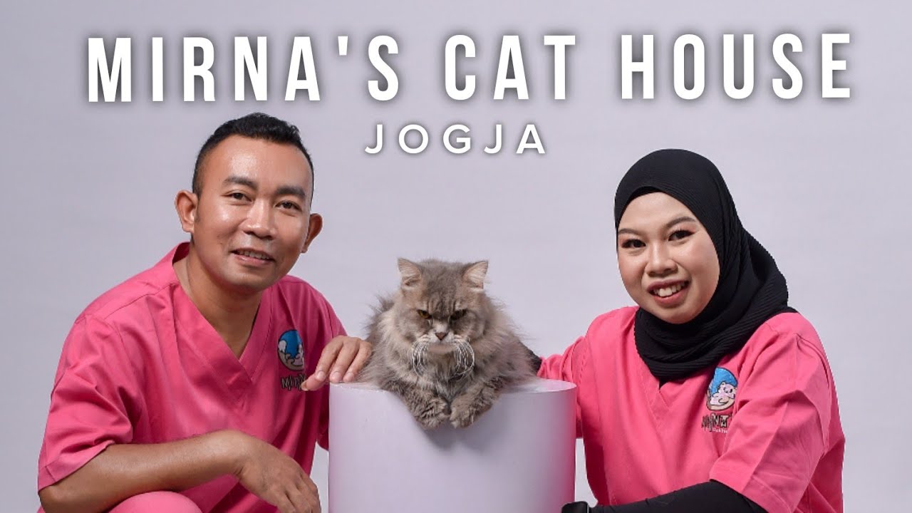 Mirna's Cat House sedang live sekarang!