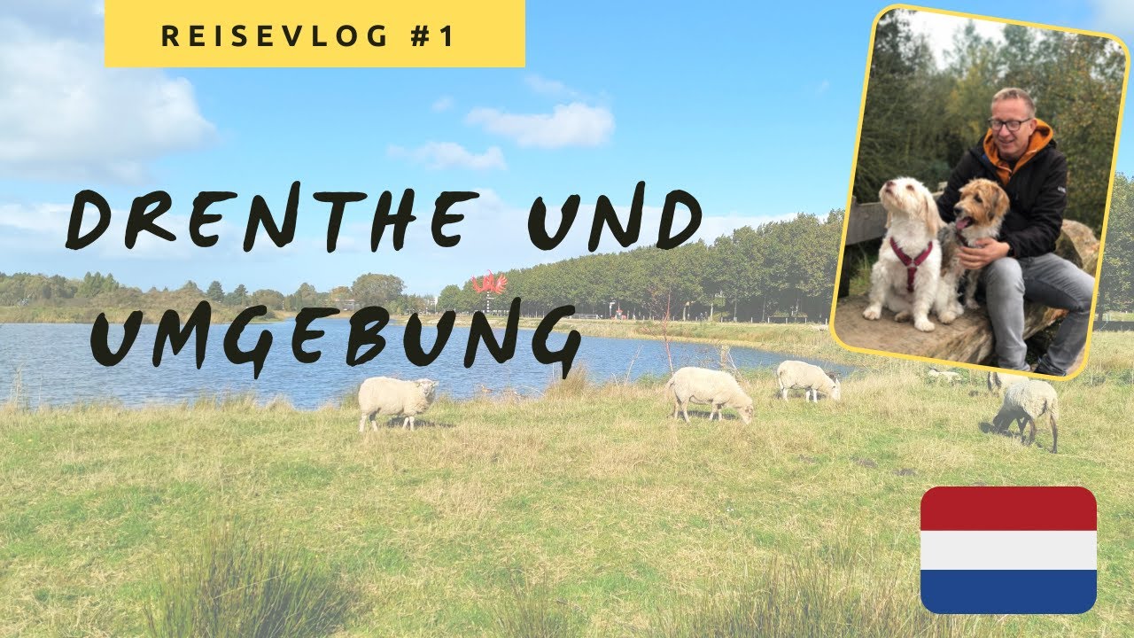 Niederlanden mit Hund in Drenthe &Umgebung: Rietplas, Hunebed, Ijsselmeer, Bagerveen Moor. Vlog #1