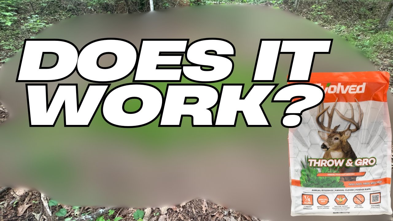 Does Walmart Food Plot Throw And Grow Work?