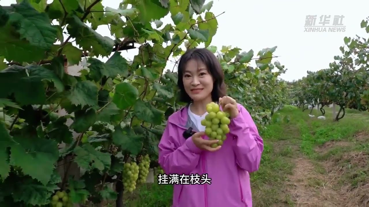 丰收中国｜一个村庄里的丰收密码