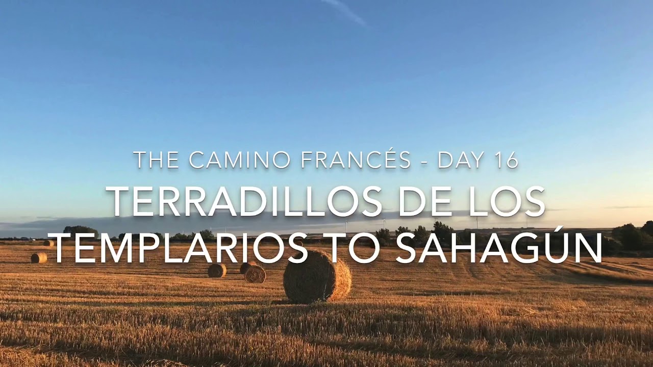 The Camino Francés - Day 16, from Terradillos de los Templarios to Sahagún