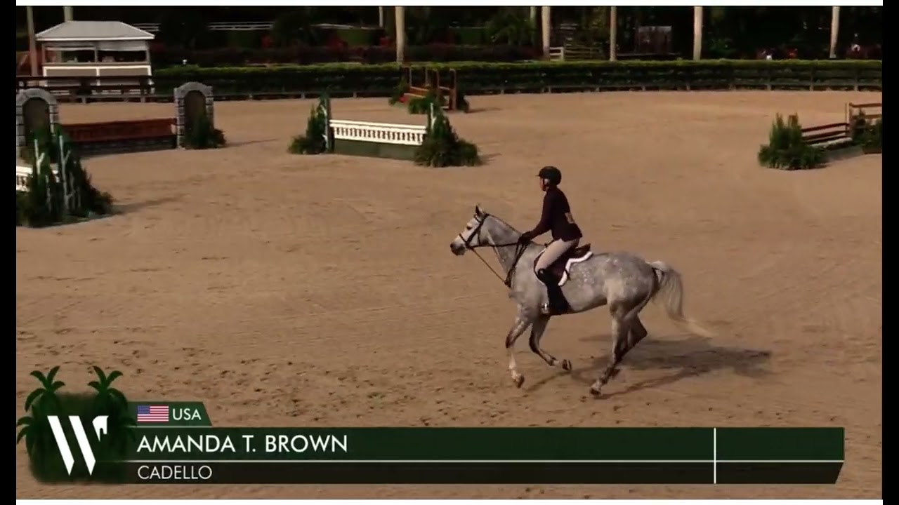 Cadello, ESP 3’3” Hunter WEF 7 2.19.26, 82.5 6th/25