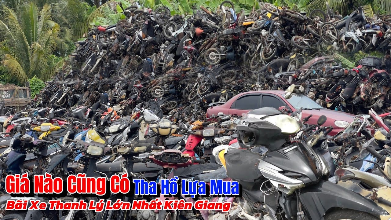 Hơn 5000 Chiếc Xe Xăng Không Giấy,Giá Bán Như Ve Chai Cho Anh Em Thợ,Bãi Xe Cũ Kiên Giang