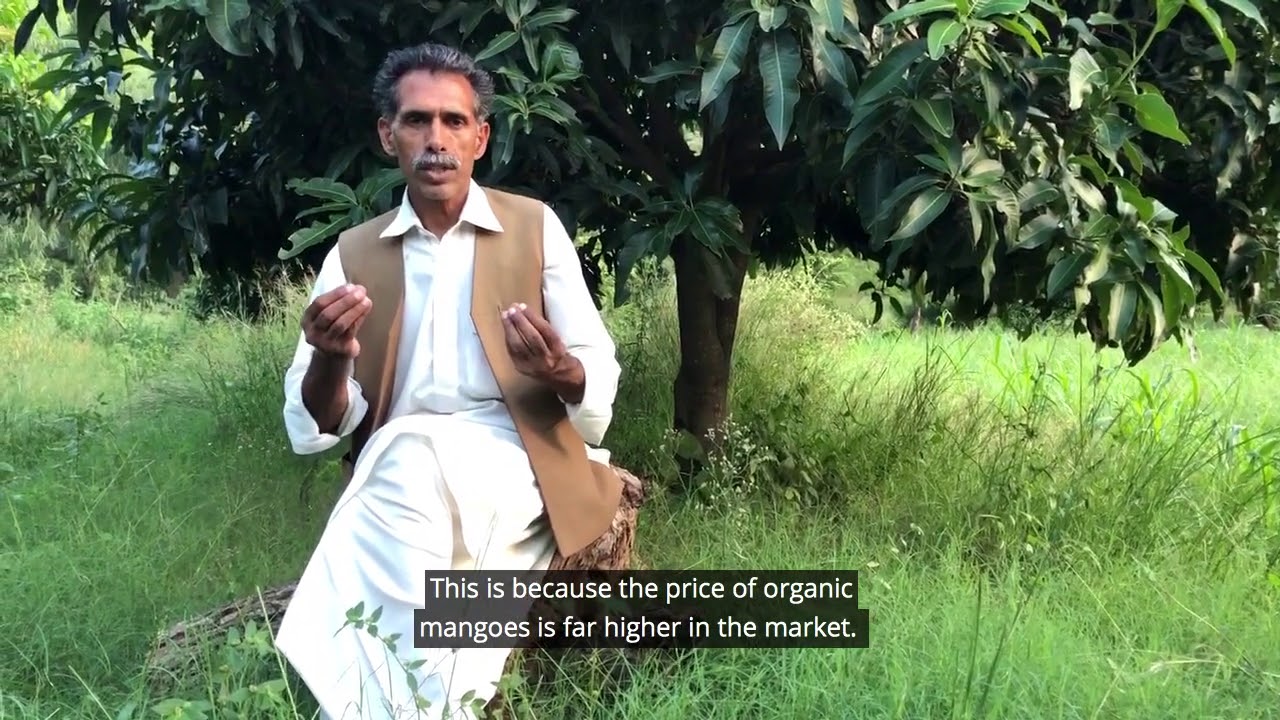 #IGrowYourFood - Meet Muhammad, an organic farmer from Pakistan🇵🇰