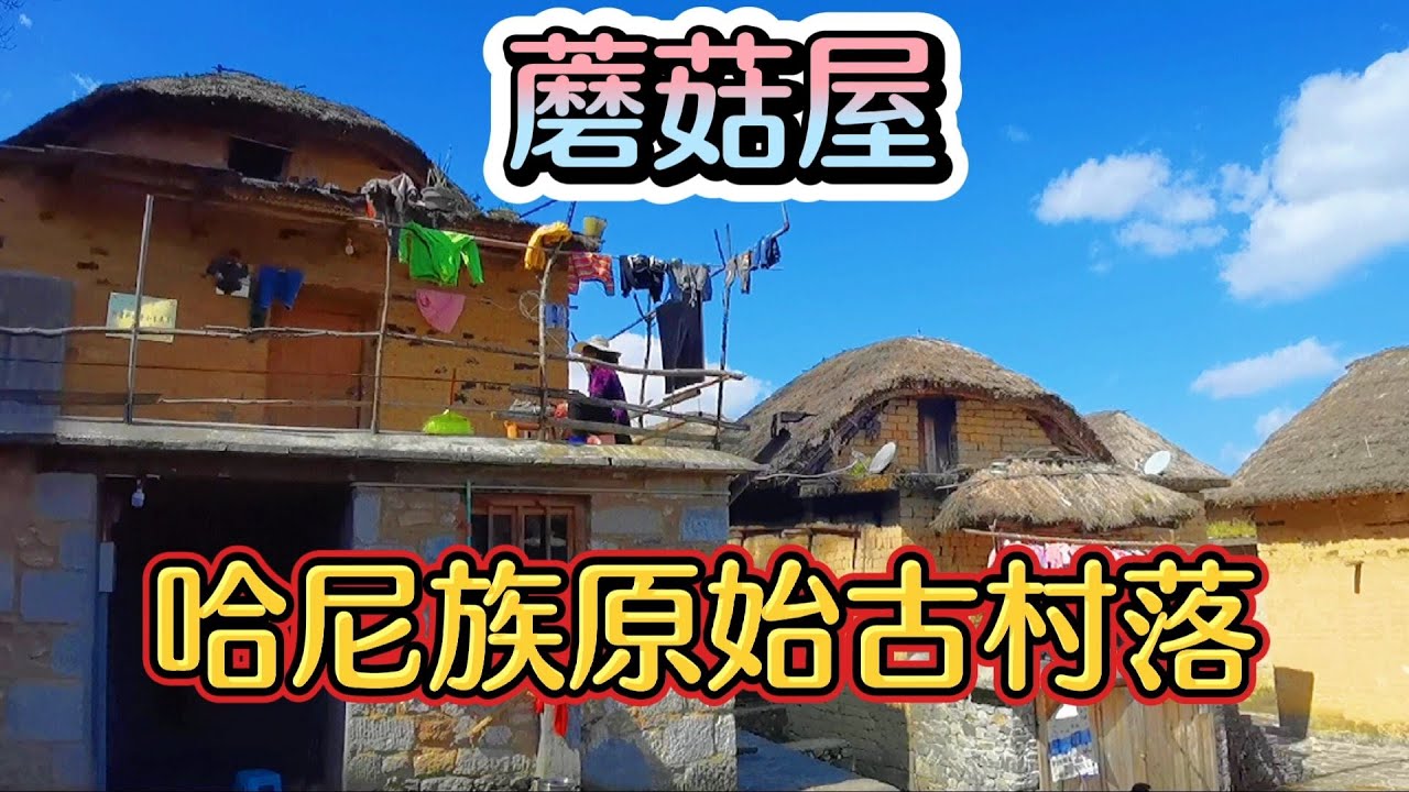 云南哈尼族原始古村落，家家户户都住蘑菇屋，万亩梯田世界奇观