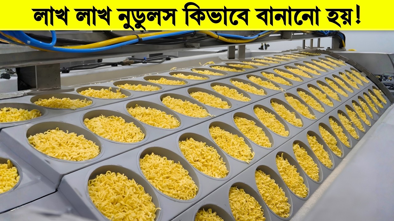 কিভাবে চীনা ফ্যাক্টরিতে ১ দিনে মিলিয়ন মিলিয়ন প্যাকেট নুডুলস বানানো হয়!