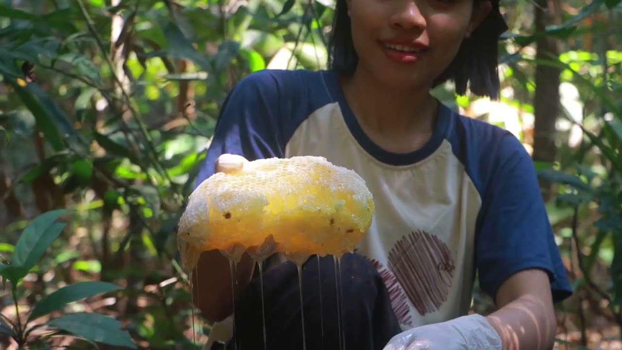ថ្ងែនេះប្រមាញ់ឃ្មុំ​៥សំបុក បានទឹកឃ្មុំពណ៍ម្នាស់ទុំជិត១កូនកាន😍