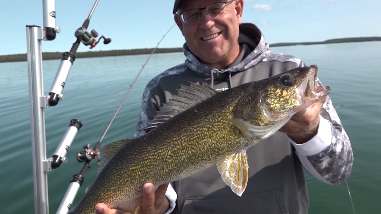 Rocking Walleye in Sault Ste Marie