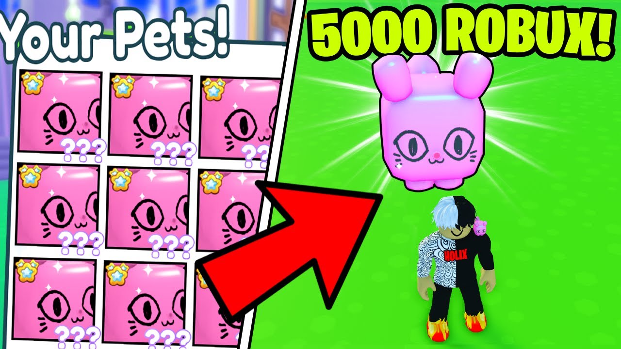 KUPIŁEM SEKRETNEGO HUGE PINK BALLON CAT w PET SIMULATOR X😲