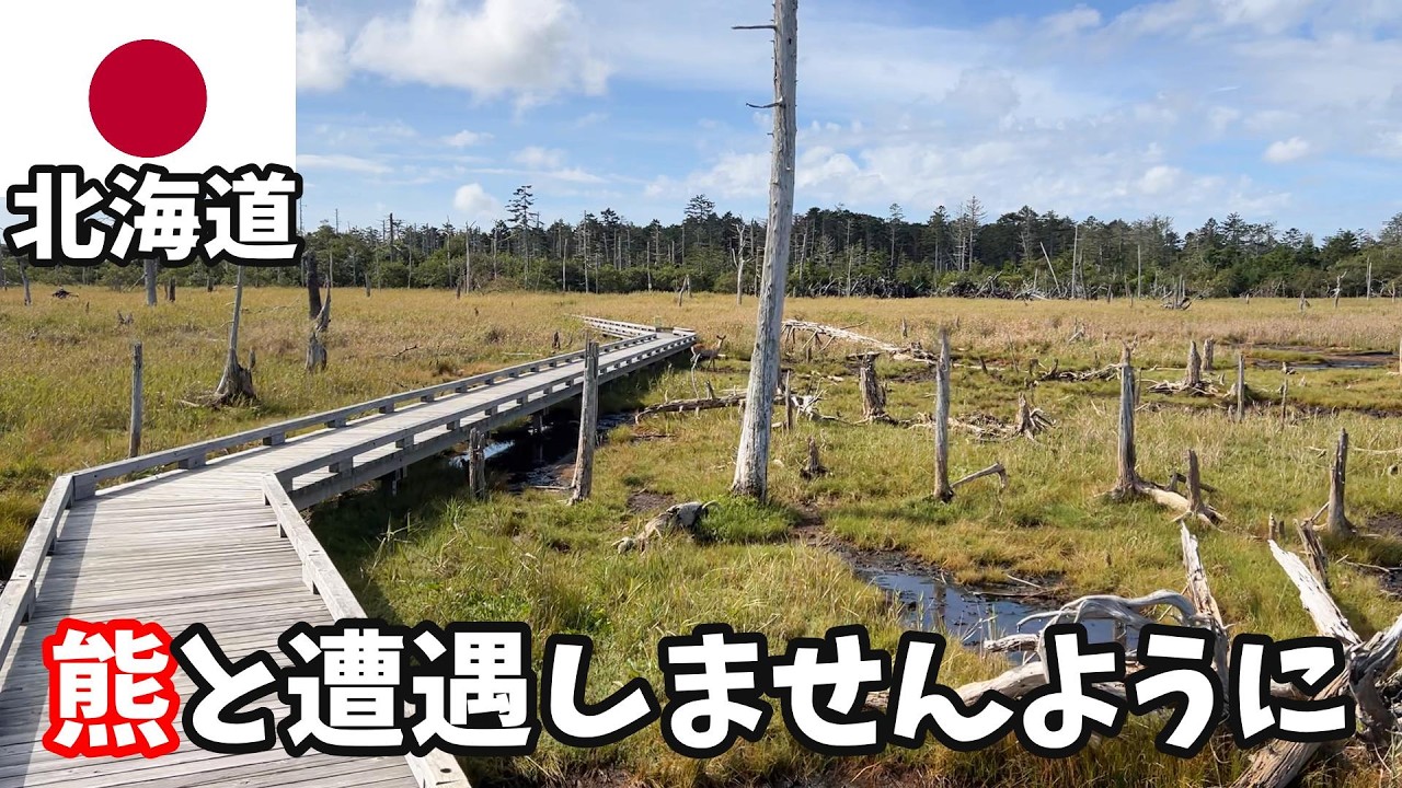 【北海道vlog④/根室】春国岱を歩く【4泊5日】