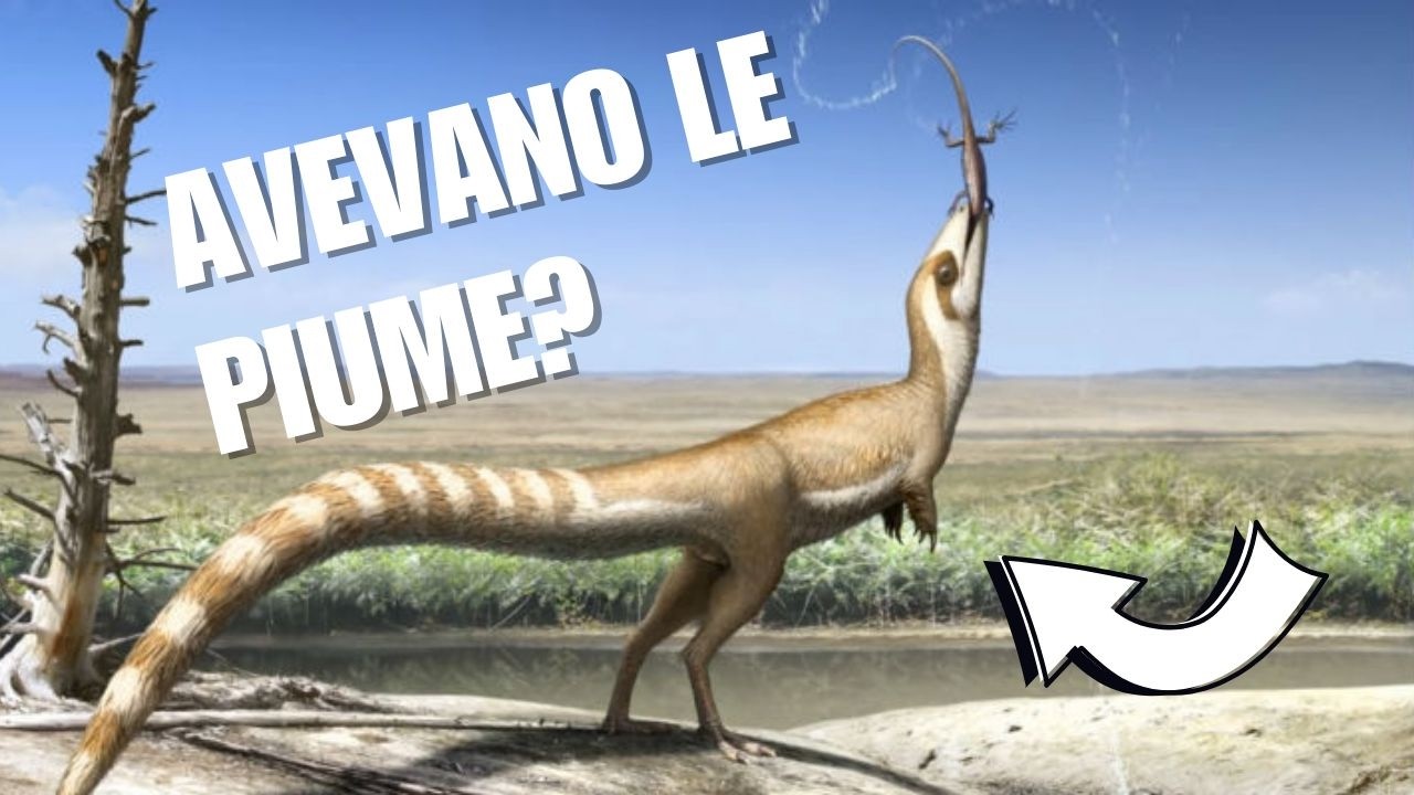 Ma quindi avevano le piume...??