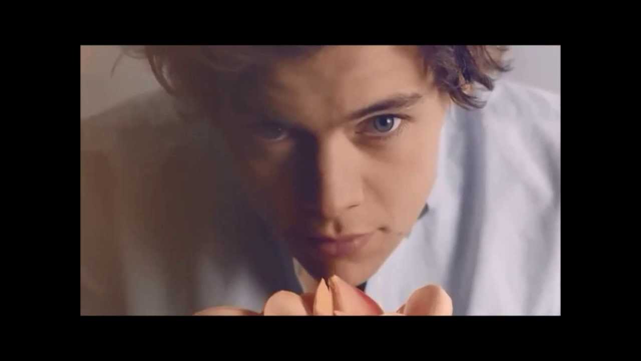 Harry Styles . Zayn Malik [ROAR]