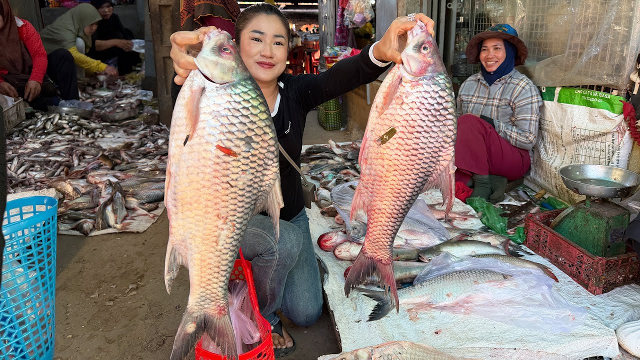 Fish market in the morning - Buy freshwater fishes for cooking - Yummy fish recipes