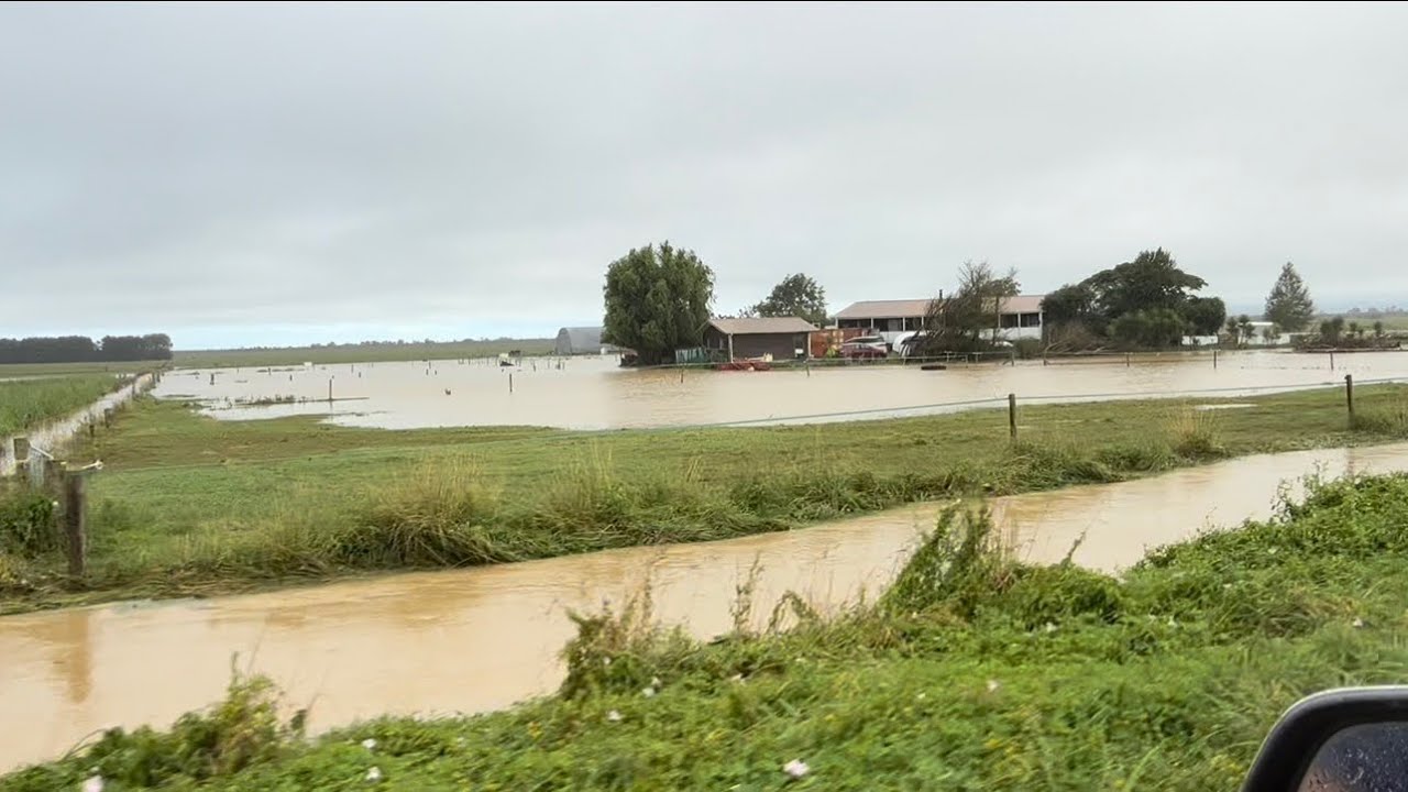 Flooding and Hoof Issues 