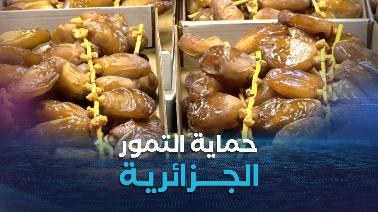 نقاش الاقتصادية | لجنة مكلفة بدراسة ملف التمور على المستوى الدولي تعزيزا الصادرات خارج المحروقات