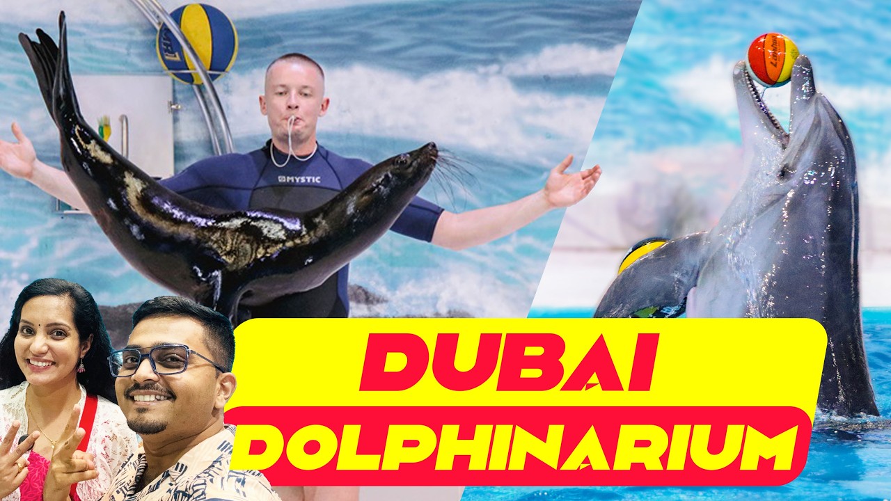 Dubai Dolphinarium - Dolphin & Seal Show | Summer Activities For Kids Dubai | 203