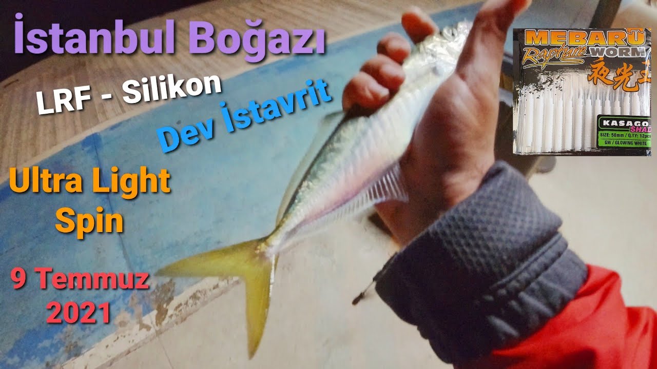 Dev İstavriti Sonunda Buldum! 🎣 Boğaz'da LRF Kamış ve Silikon Yem ile İstavrit Avı - Temmuz 2021