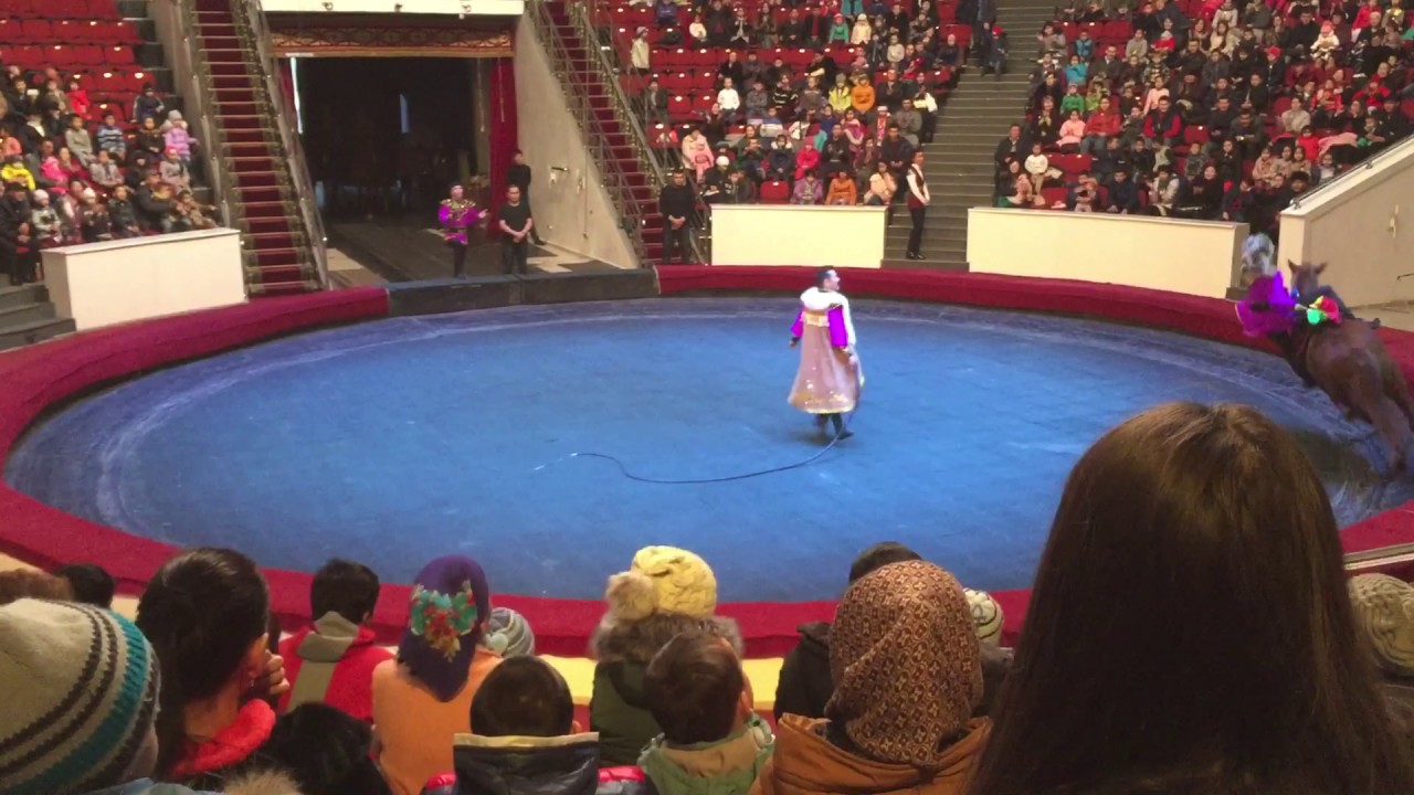 Джигиты из Чимкента!