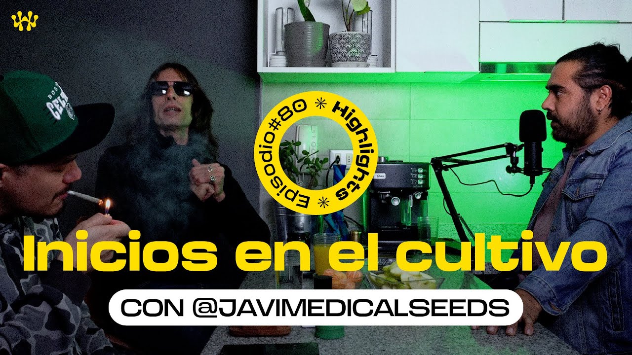 Iniciarse en el cultivo de cannabis con Javier Ruano de Medical Seeds