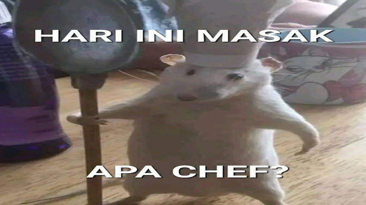 Ronda Malam kah?