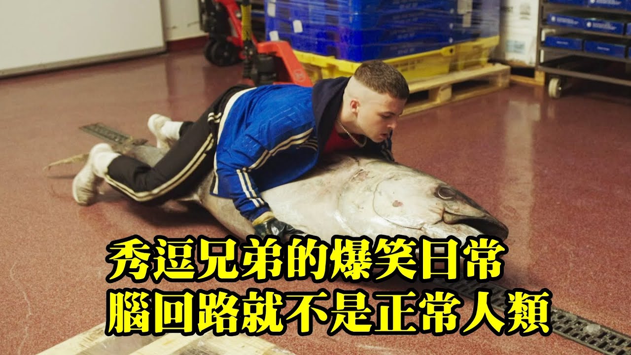 秀逗兄弟的爆笑日常，腦回路就不是正常人類，爆笑喜劇