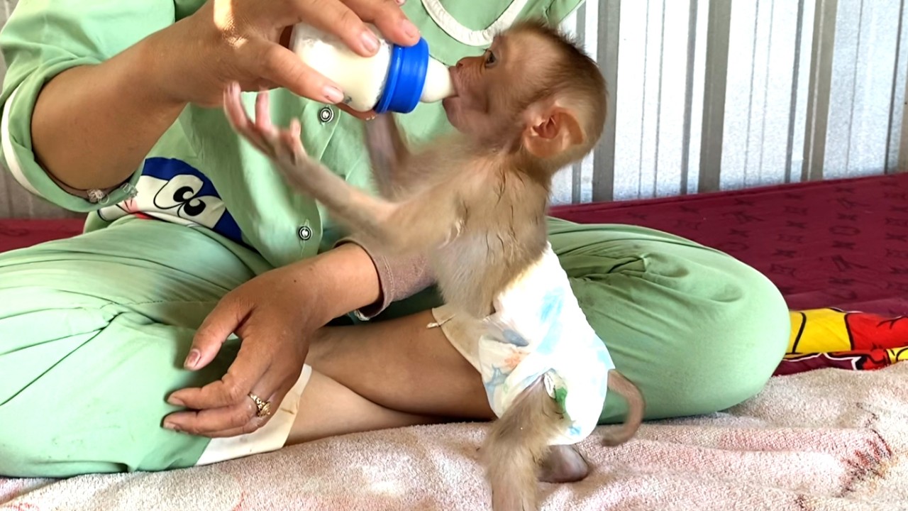 Amazing!! Adorable baby LIORA stands up and drinks milk after bath