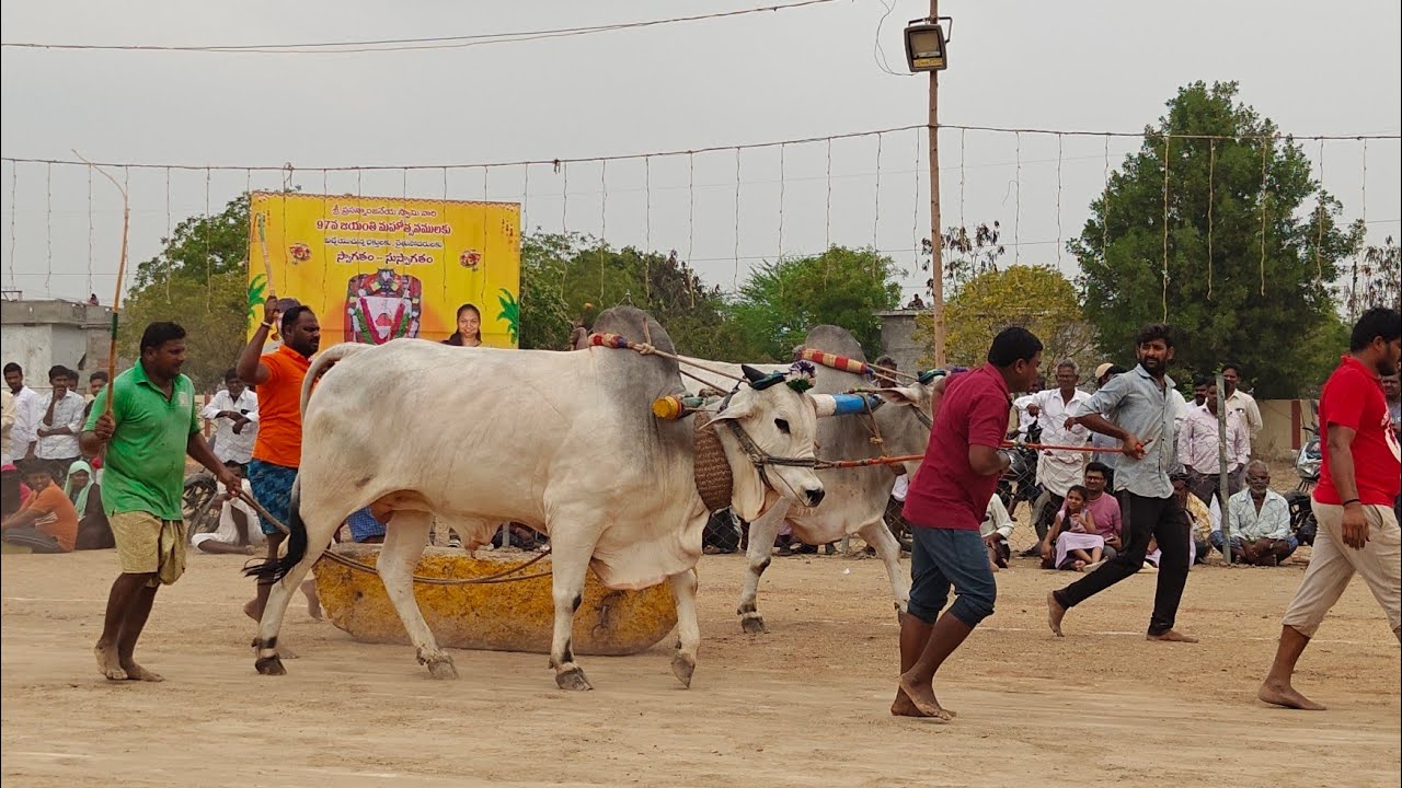 ఆకుల గణపవరం 6పళ్ళు 8వ మేడగం. హర్షవర్ధన్ రెడ్డి గారు పొట్లపాడు గ్రామం ప్రకాశం జిల్లా...