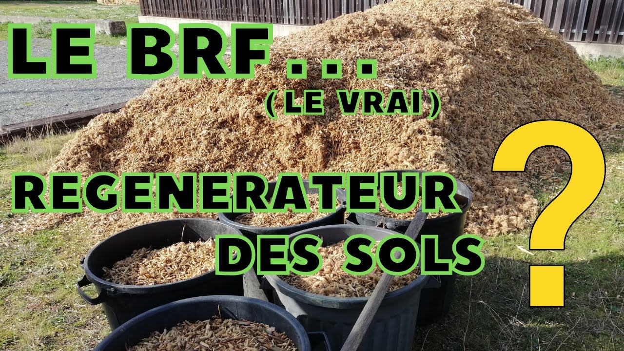 dossier complet BRF / le BRF est il un regenerateur des sols ?