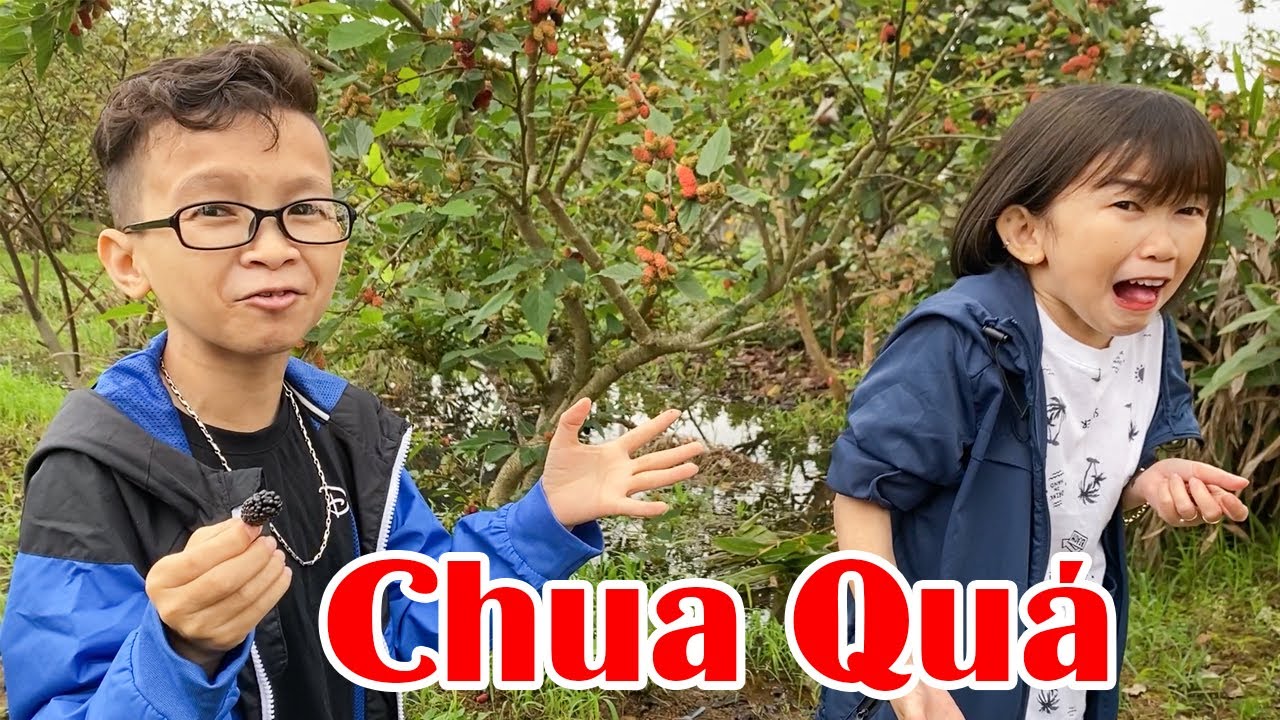 Vợ Chồng Tí Hon Về Quê Ăn Sạch Vườn Trái Cây Nhà Mẹ Nuôi | Thầy Giáo Tí Hon