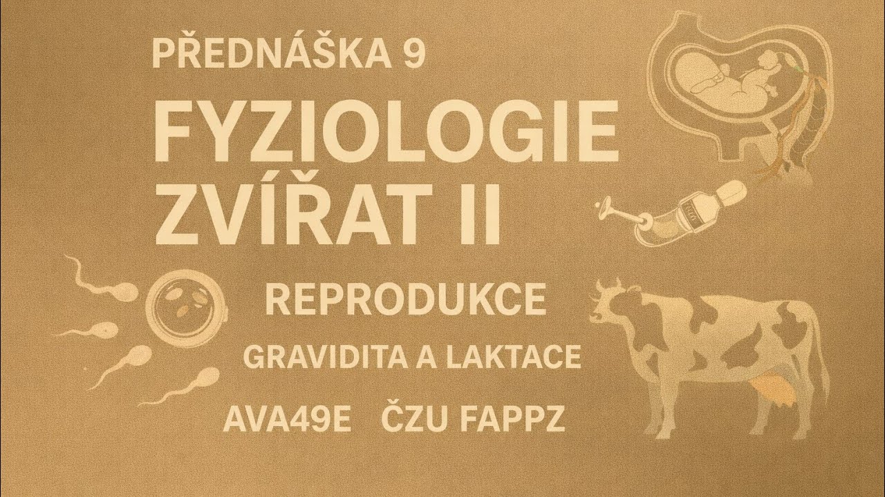 Přednáška 9 | Fyziologie zvířat II – Reprodukce, gravidita a laktace (AVA49E, ČZU)