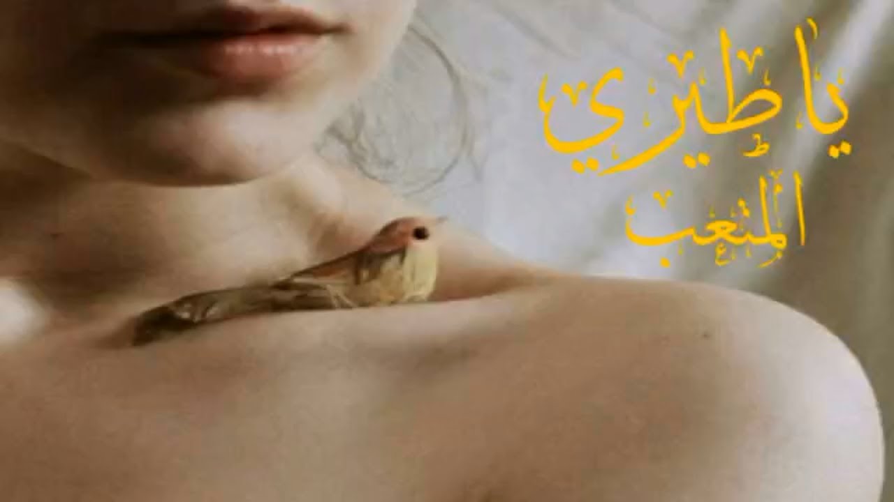 ياطيري المتعب - كلمات أميرة العباس