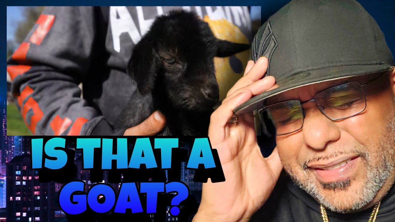 my head hurts!!!! | WunTayk Timmy - What The Helly (Remix) | REACTION!!!