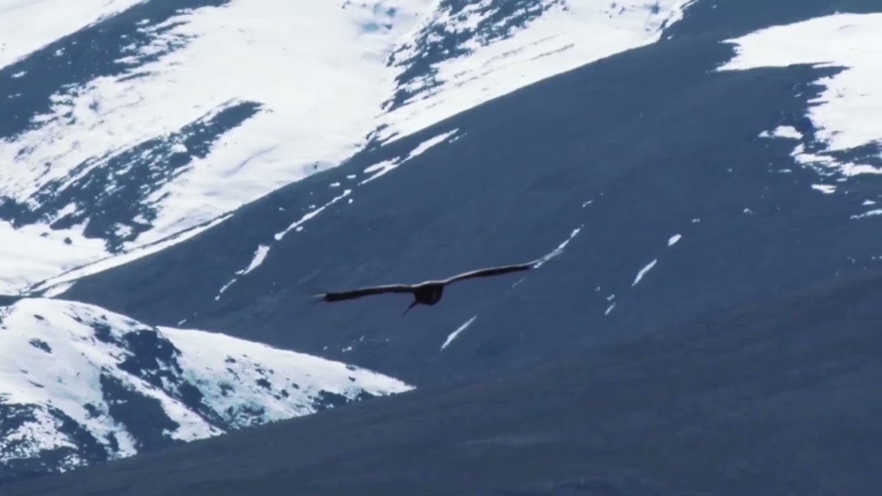 Neuquén, corazón de viento