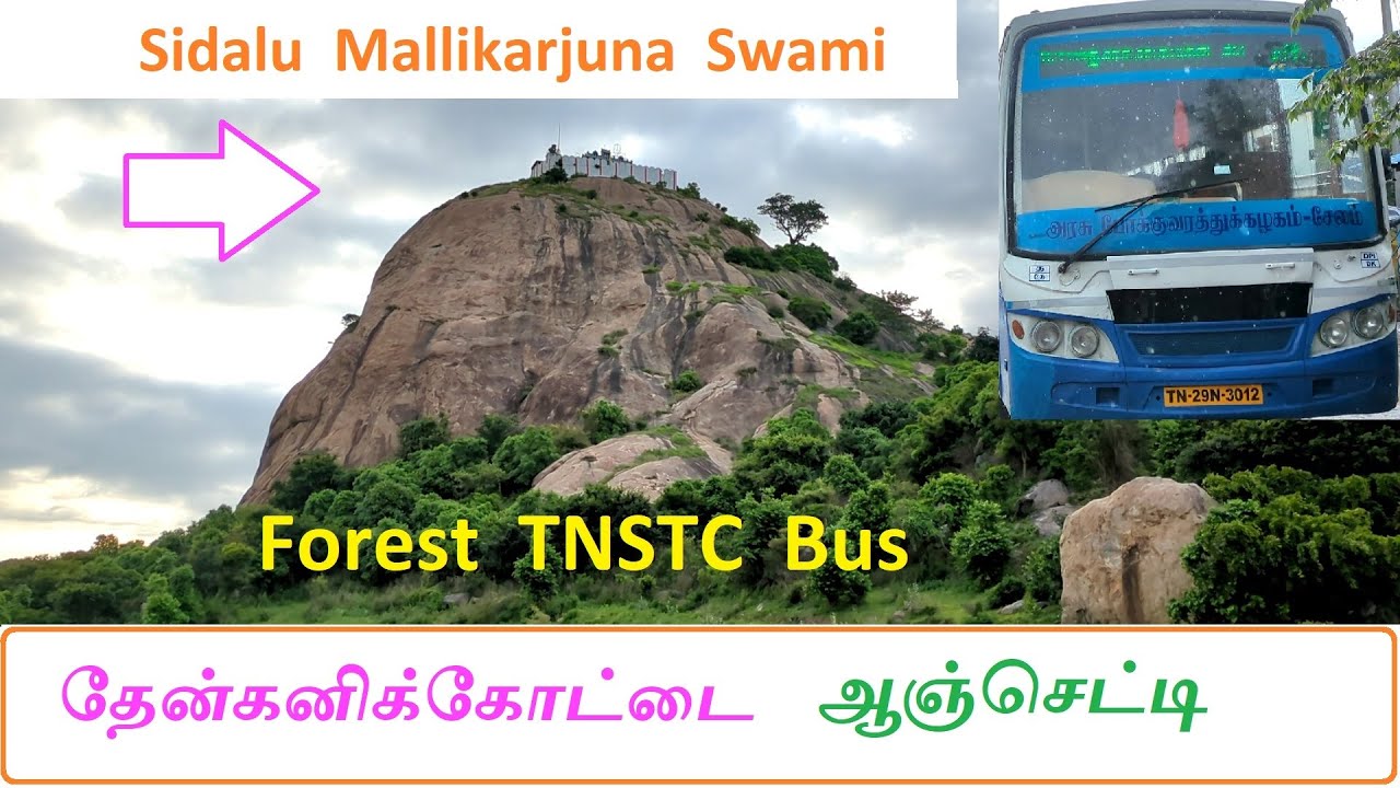 Anchetty - Denkanikottai - Hosur .. Forest Ride in TNSTC Bus