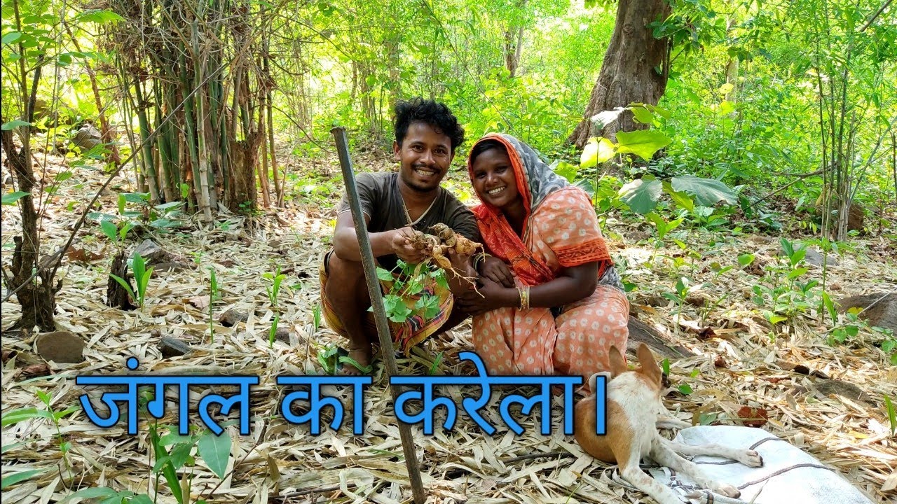 Today we both went to the forest to bring bitter gourd vegetable!|